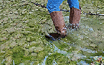 Paroshbrownsuedebootssoakedinriver