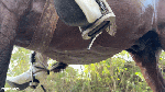 Big_S_GreatRider_06_25
