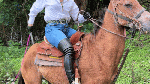 ControloverthestirrupsWorkSWBQ
