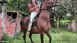 Jacked_Katty_boots_Wb