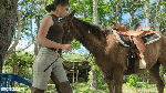 KATTY_gooddriving.18