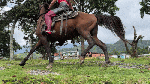 KattyBootsHotHorse_WorS