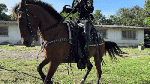 KattyCorsetLeather_WORK_S
