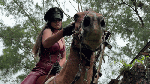 Katty_authoritarian_rider_S_W_Leather