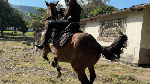 Katty_rides_in_highBoots_05_25