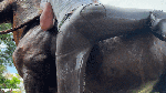 NO_chair_Katty_riding_part2_14_25