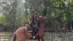WORK_RIDER_S_W_12_25