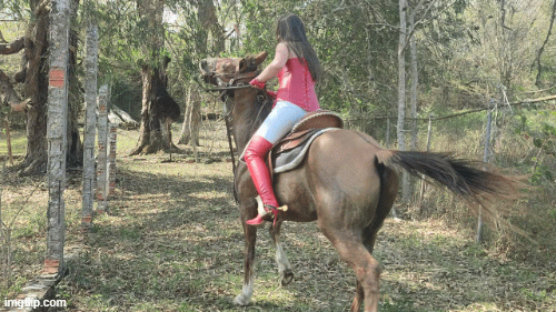 She A Real Rough Rider Horses / Riding (Ladies) - clips4all