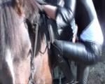 dressageinleather