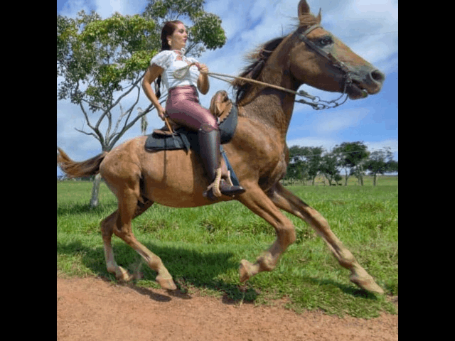 QUEENS OF THE HORSE / Female Video Stores - clips4all