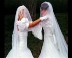 CB_A_Catfihgt_dream_in_wedding_dresses